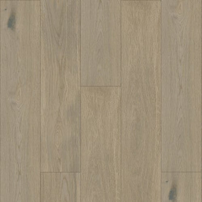 Elevations - Loft