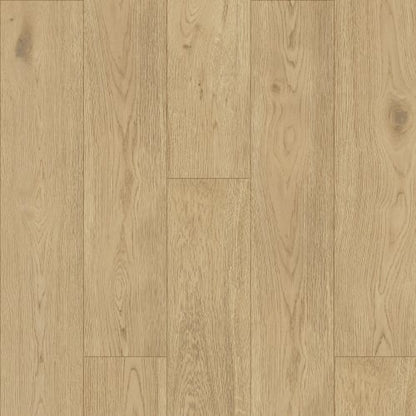 Elevations - Loft