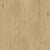Elevations - Loft