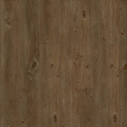Elevations - Loft
