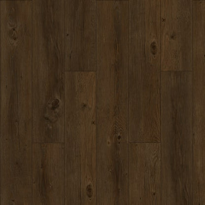 Elevations - Loft
