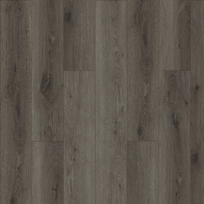 Elevations - Loft