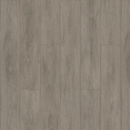 Elevations - Loft