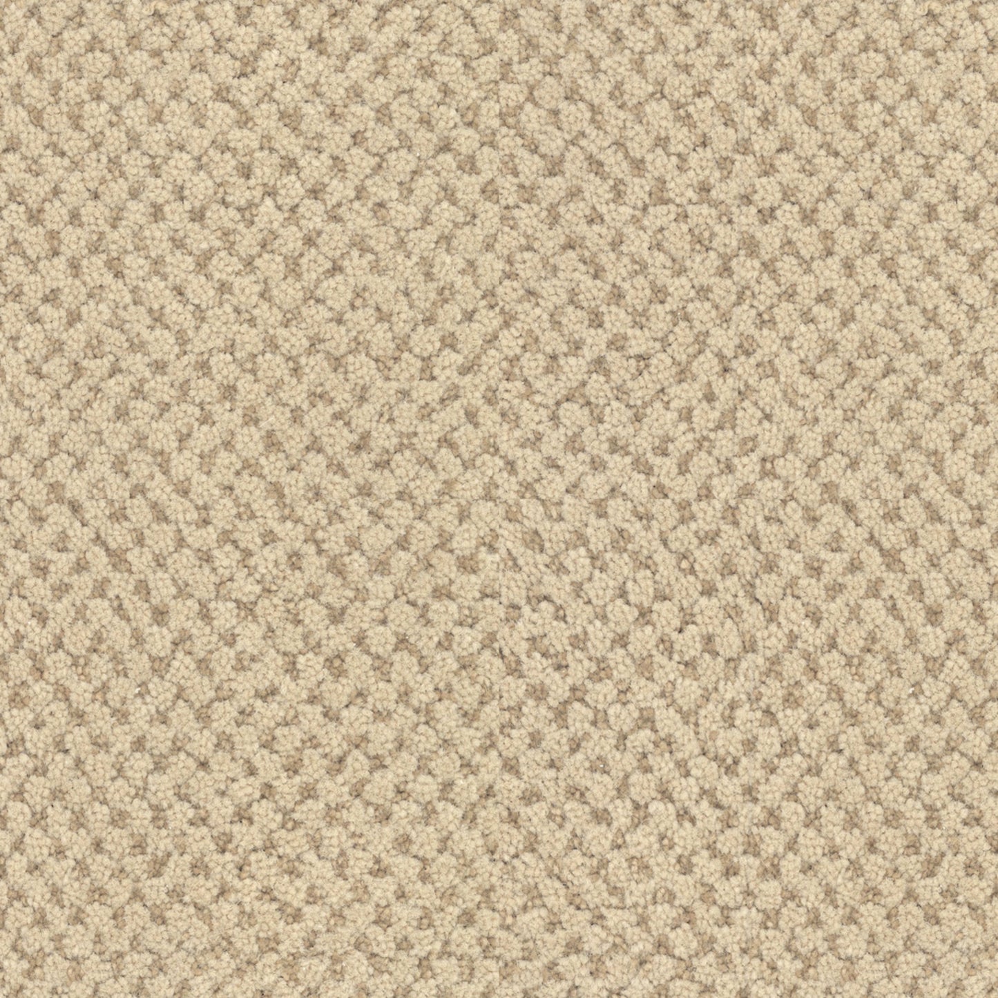 La Parade in Chardonnay Carpet