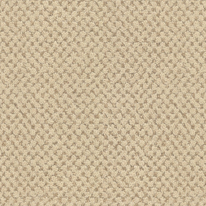 La Parade in Chardonnay Carpet