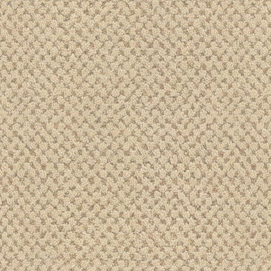 La Parade in Chardonnay Carpet