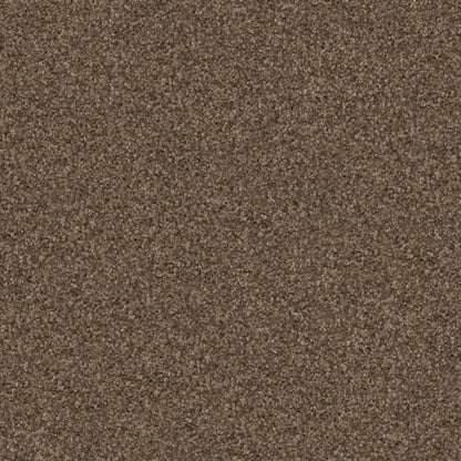 Labrador