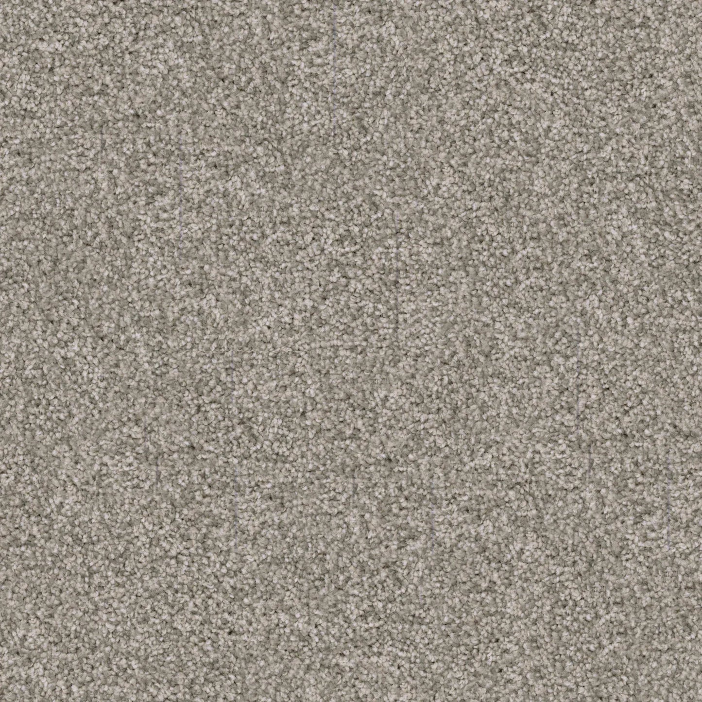 Labrador