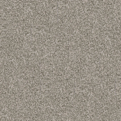Labrador