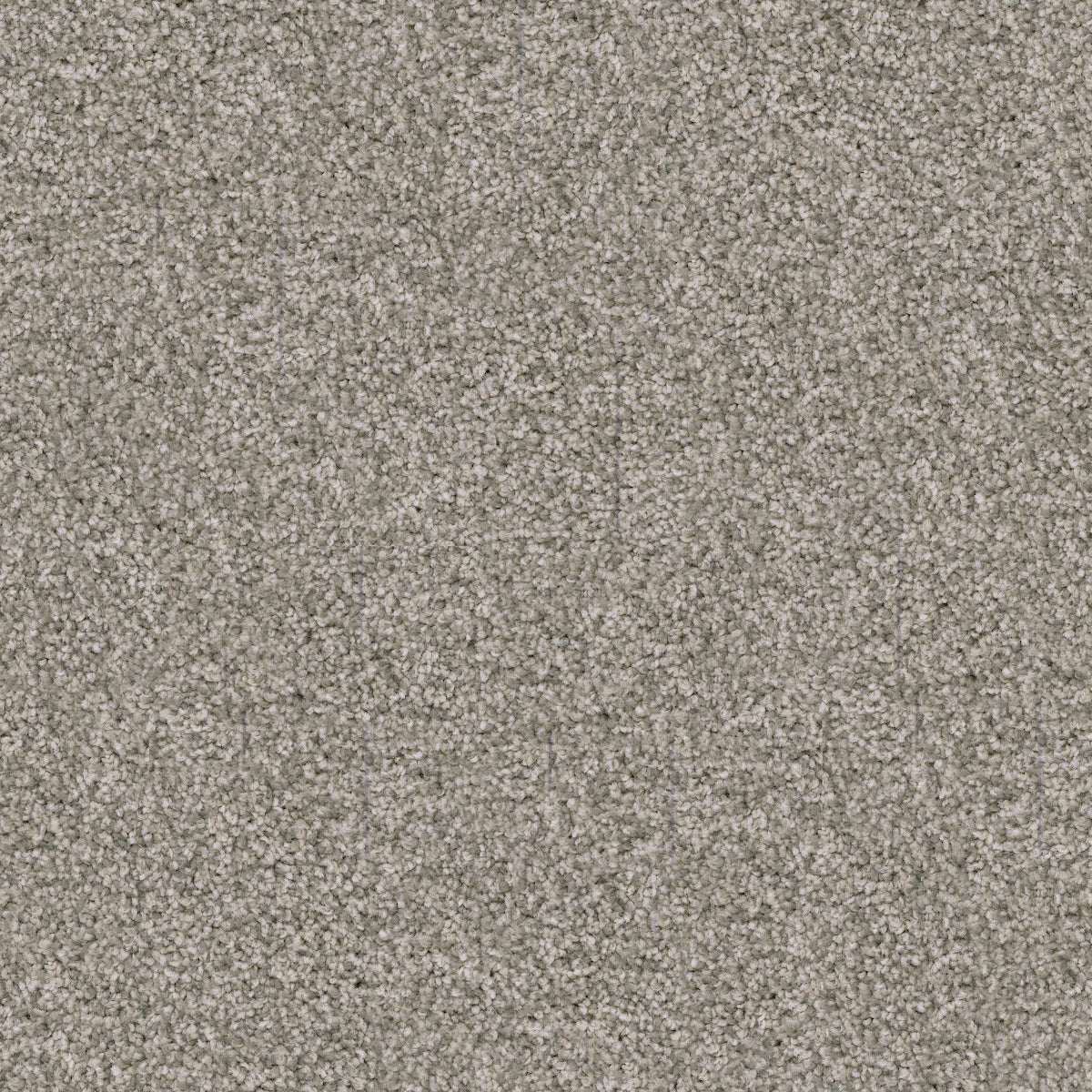 Labrador