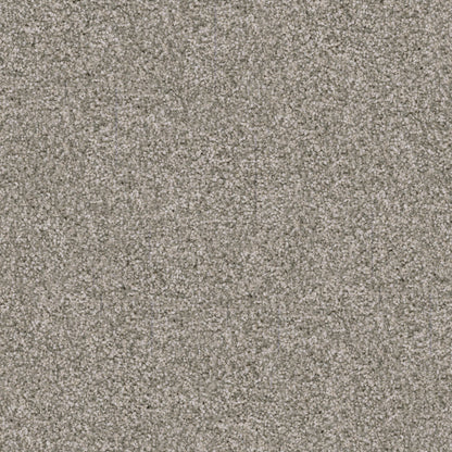 Labrador