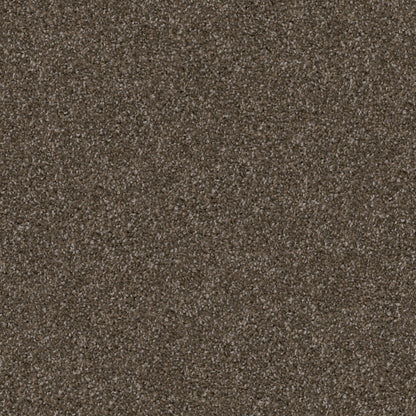 Labrador