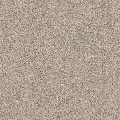 Labrador