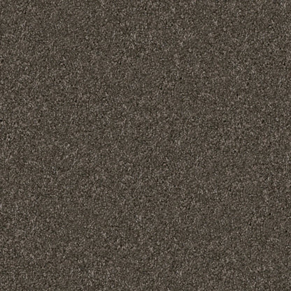 Labrador