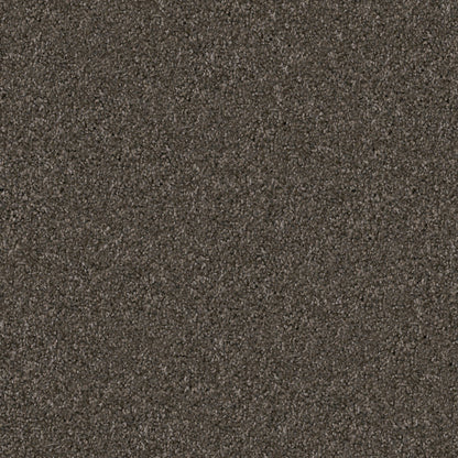 Labrador