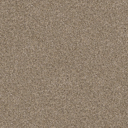 Labrador