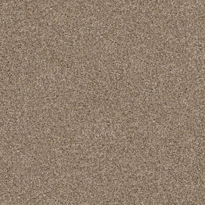 Labrador