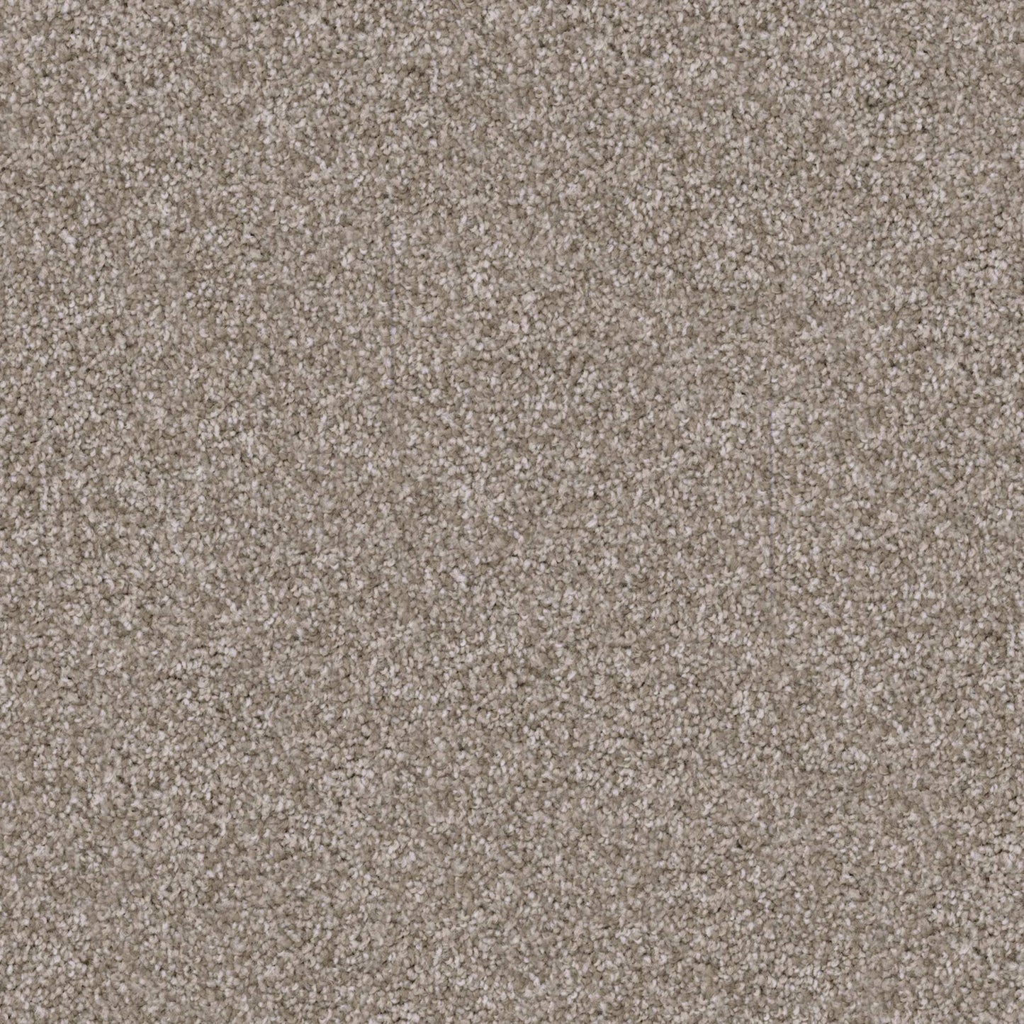 Labrador