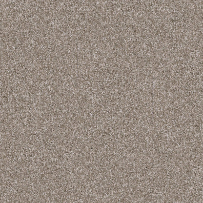 Labrador