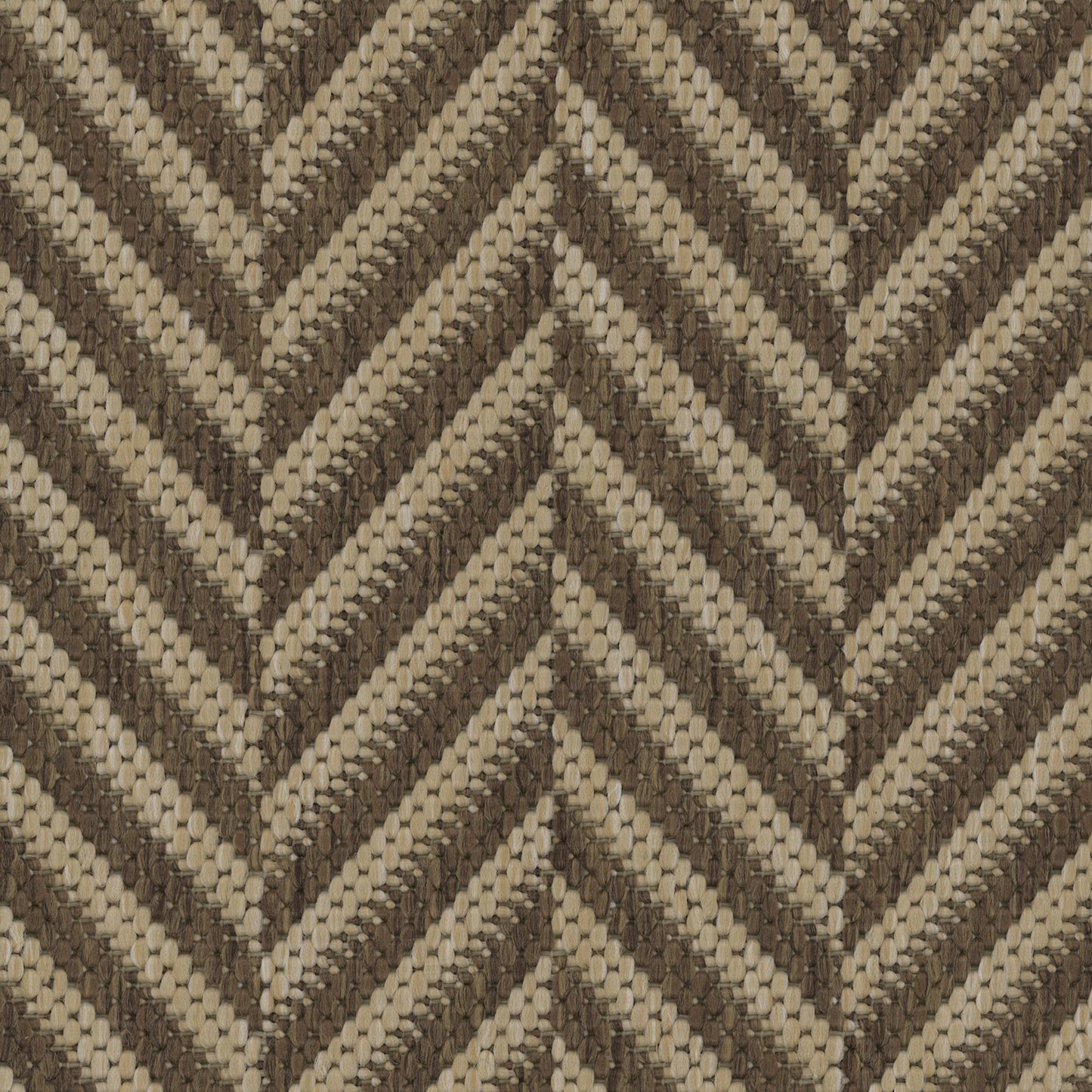 Laguna in Desert Carpet