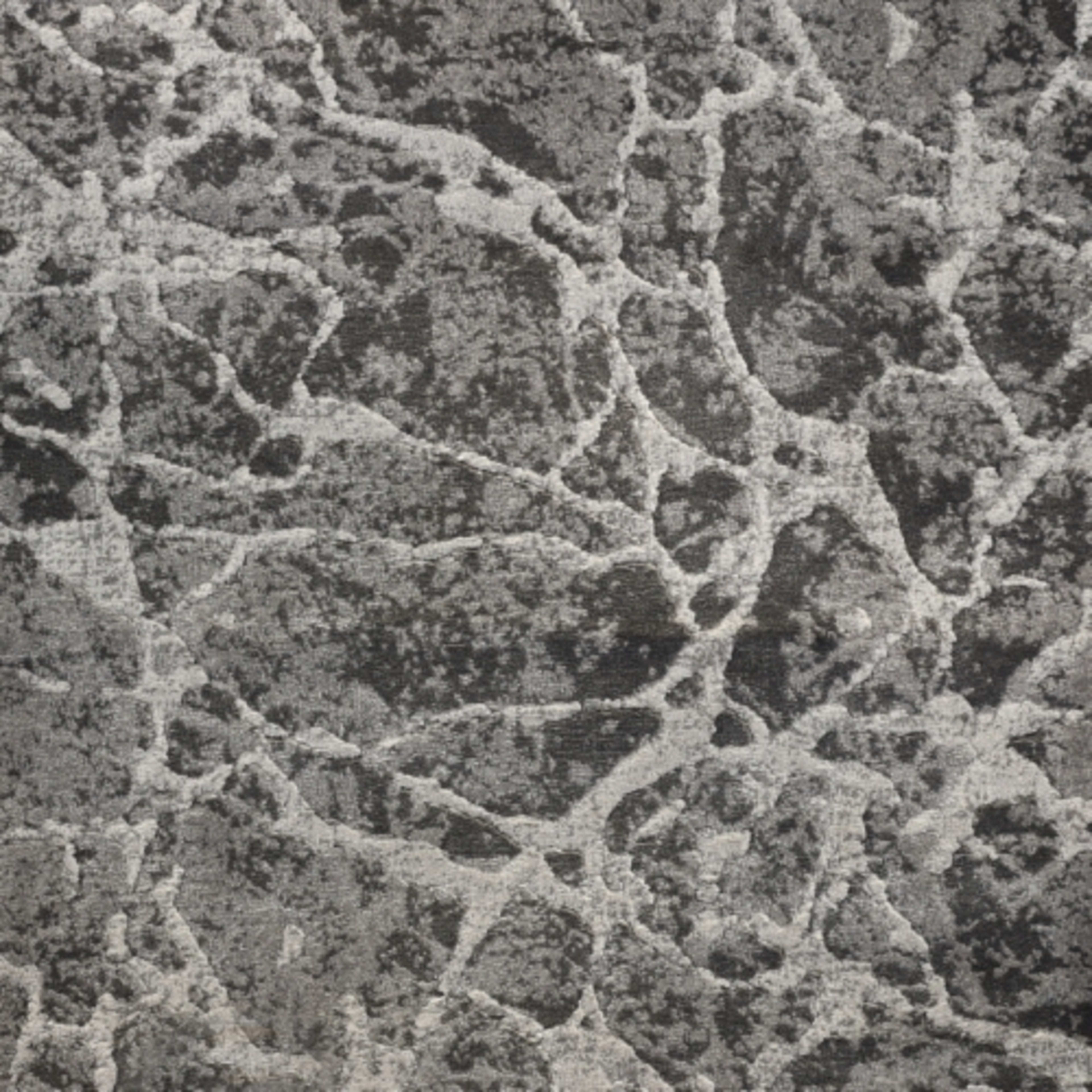 Latest in Stone Carpet
