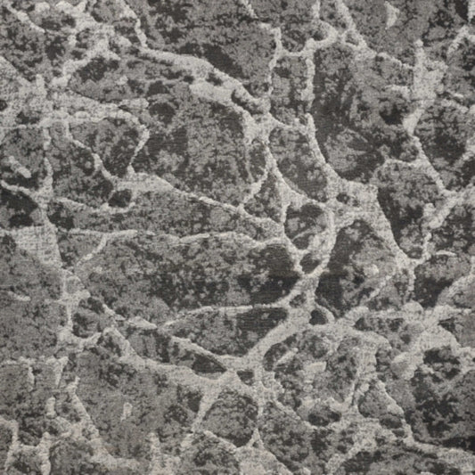 Latest in Stone Carpet