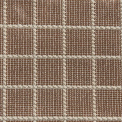 Leading Lines in Autumn Carpet