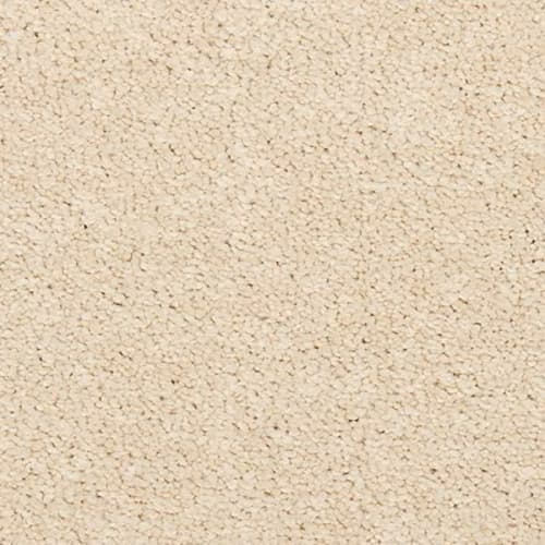 Maison Chic in Bone Carpet