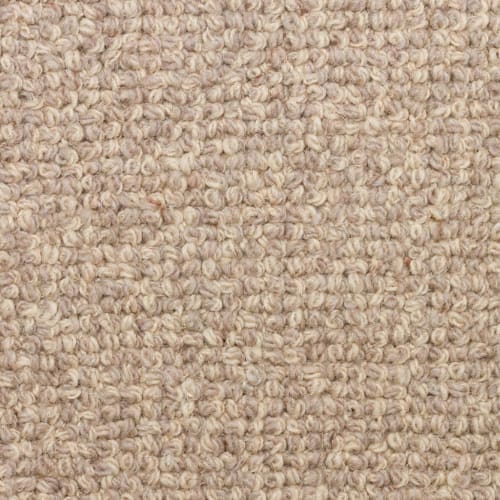 Cameron in 2106 Carpet
