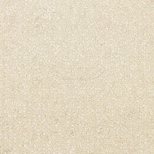 Forest Grove in Cotton Carpet