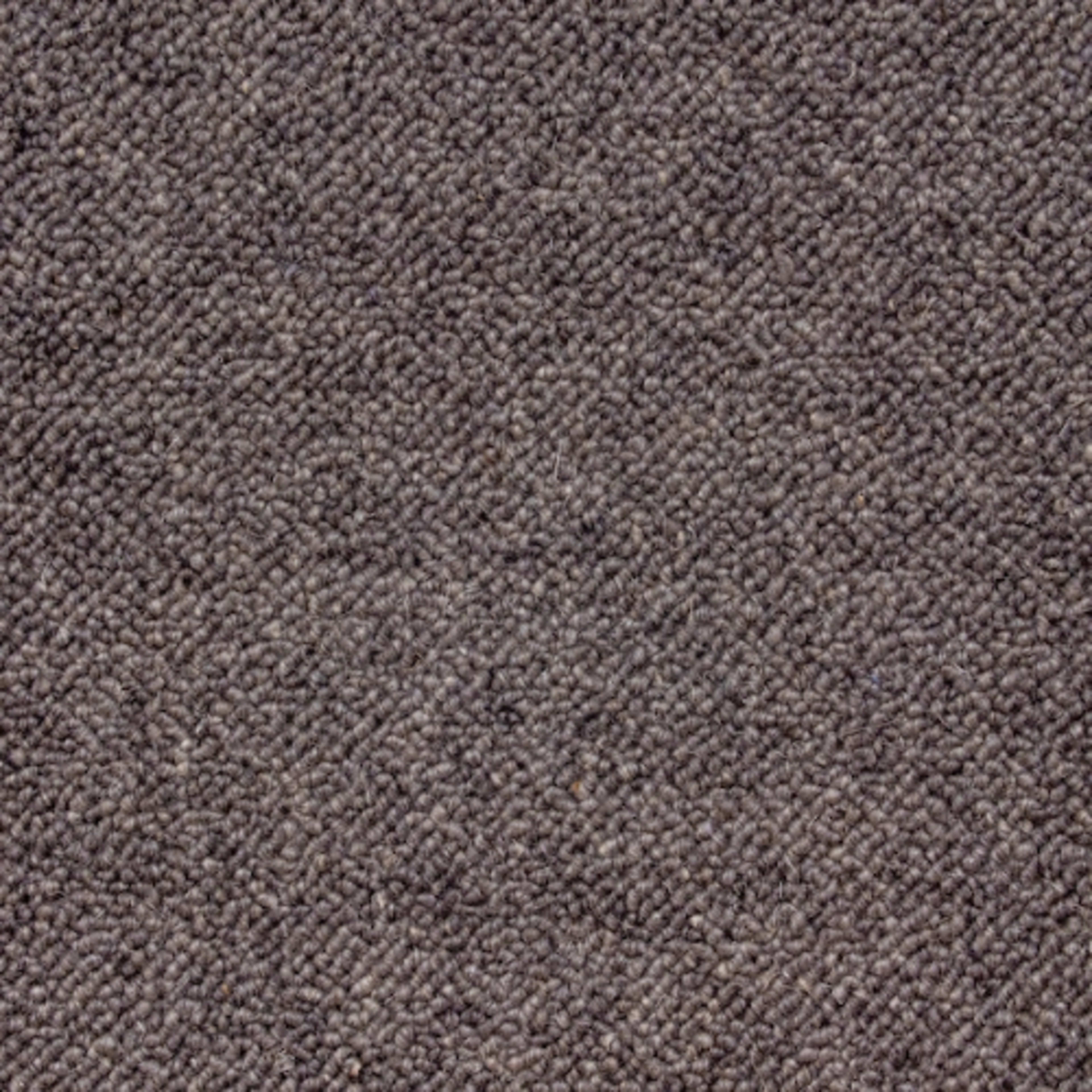 San Marino in 2104 Carpet