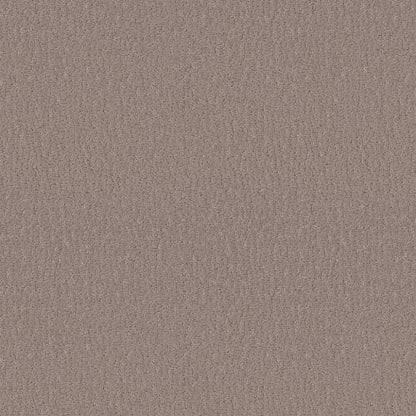 Studio Set in Kindling Carpet