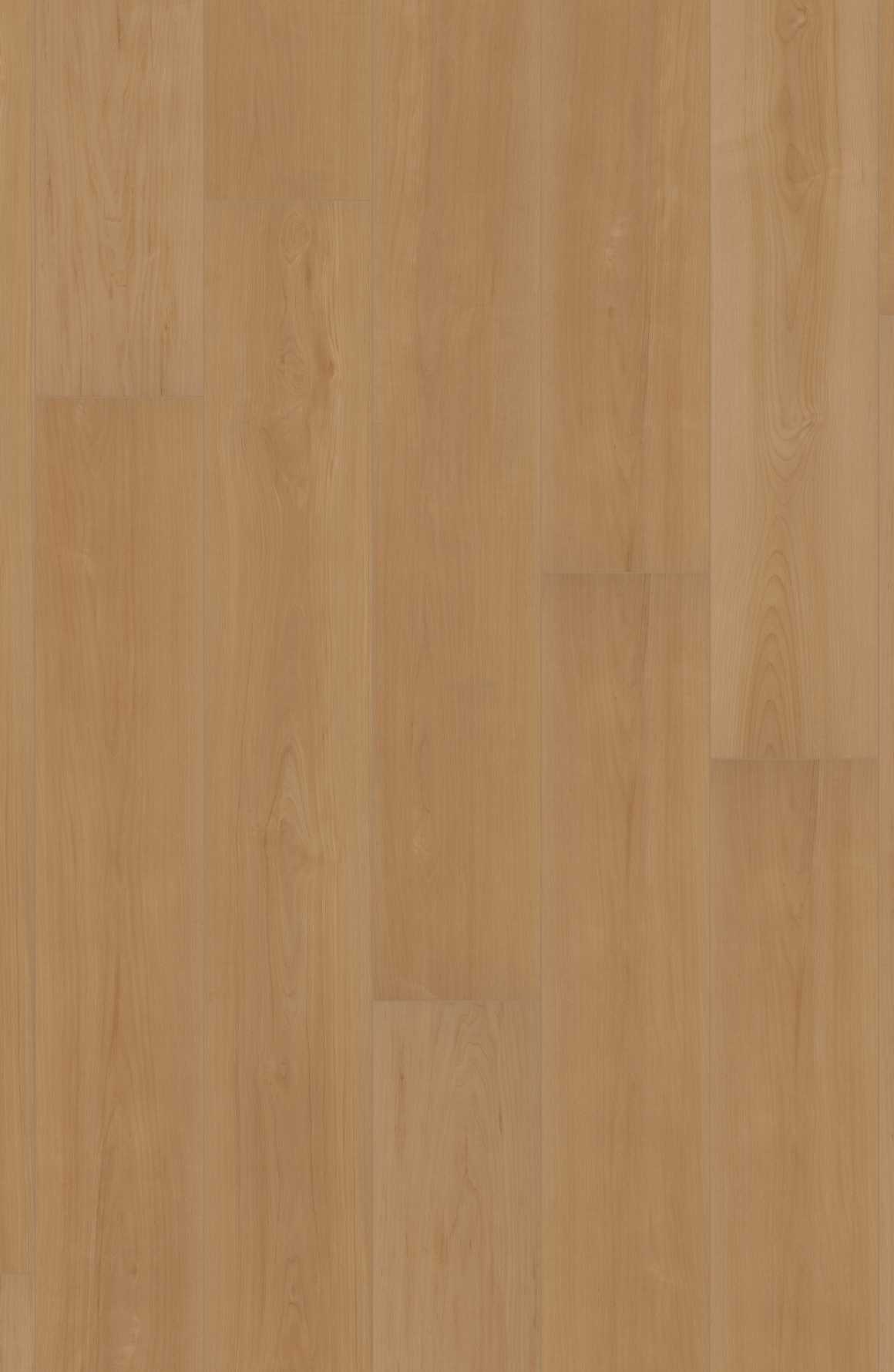 Comfort in Madison Maple