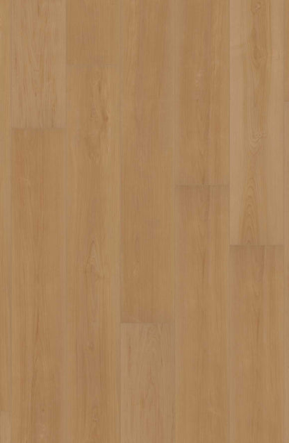 Comfort in Madison Maple