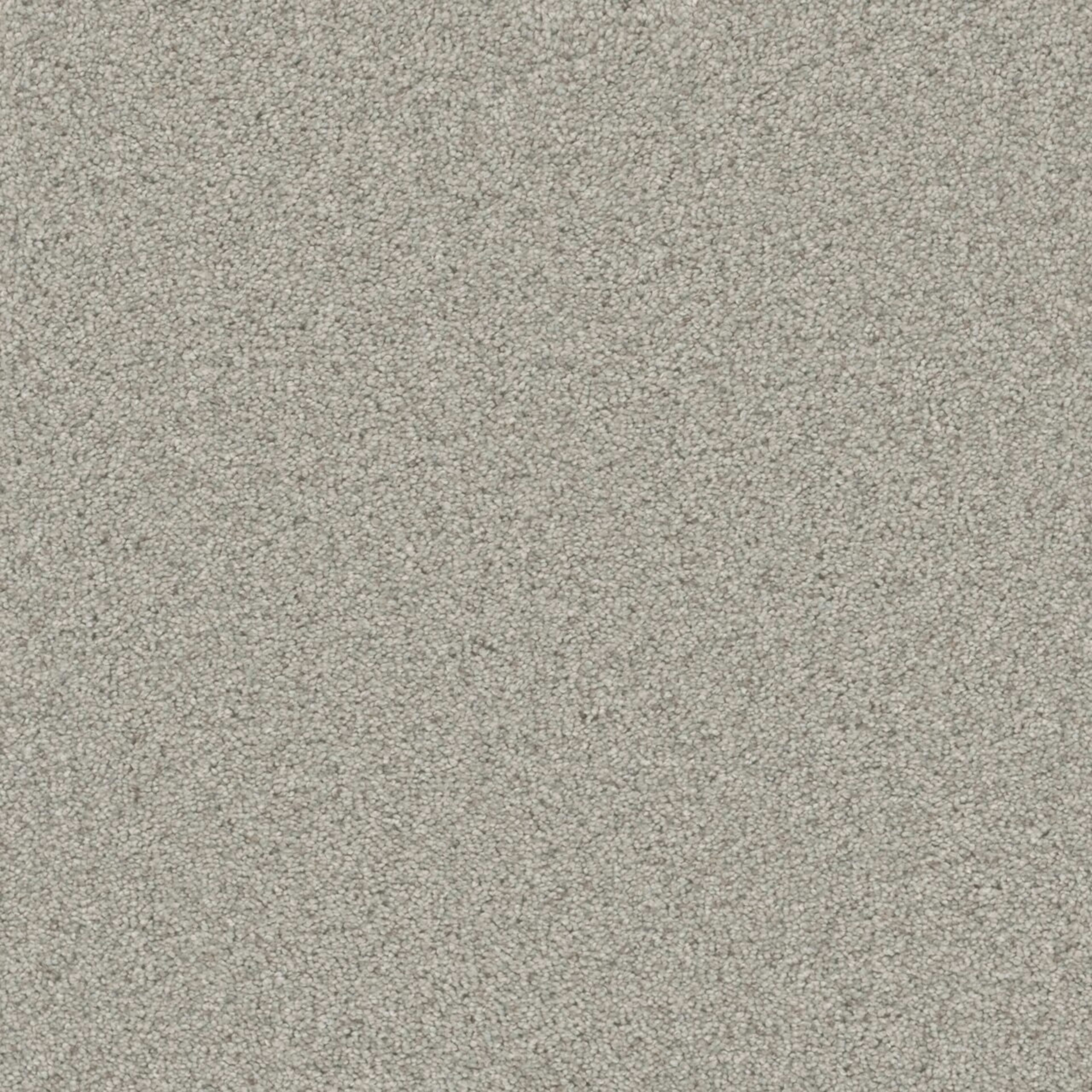 Windy City II in Mesa Falls Carpet