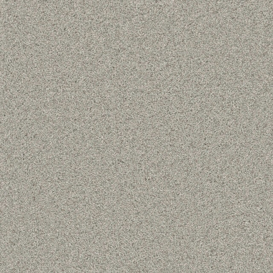 Windy City II in Mesa Falls Carpet