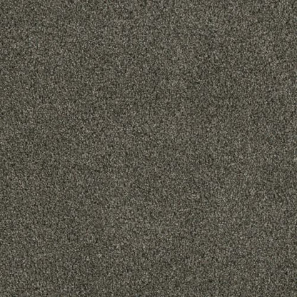 Luxor II