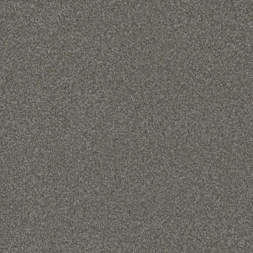 BLAZER II in Mill Stone Carpet