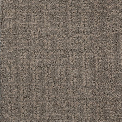 Mindful in Cobblestone Carpet