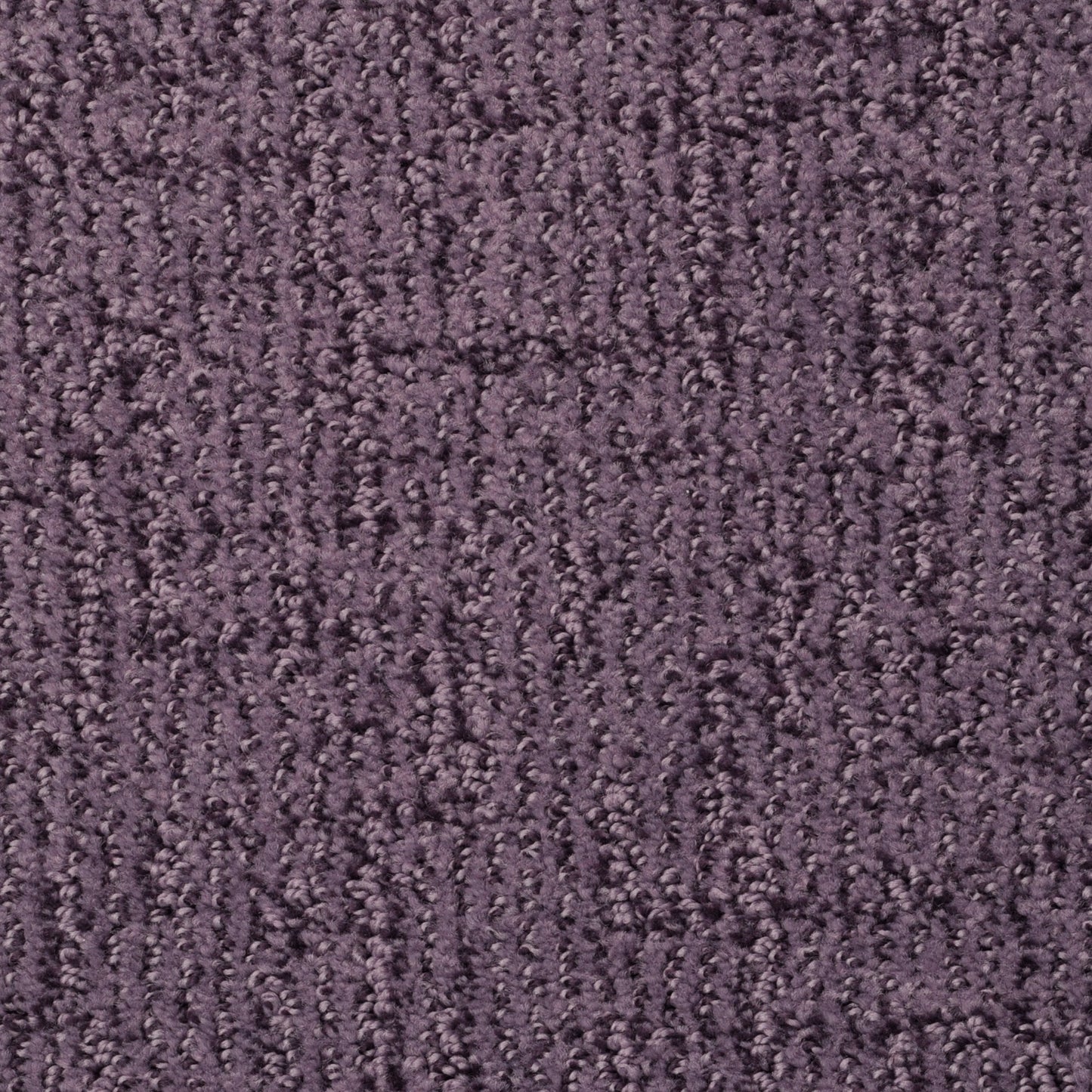 Cape Cod