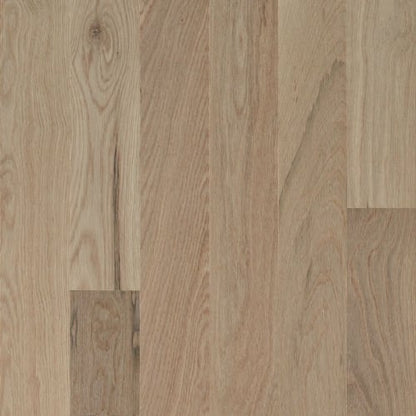 Natural Forest Oak Solid