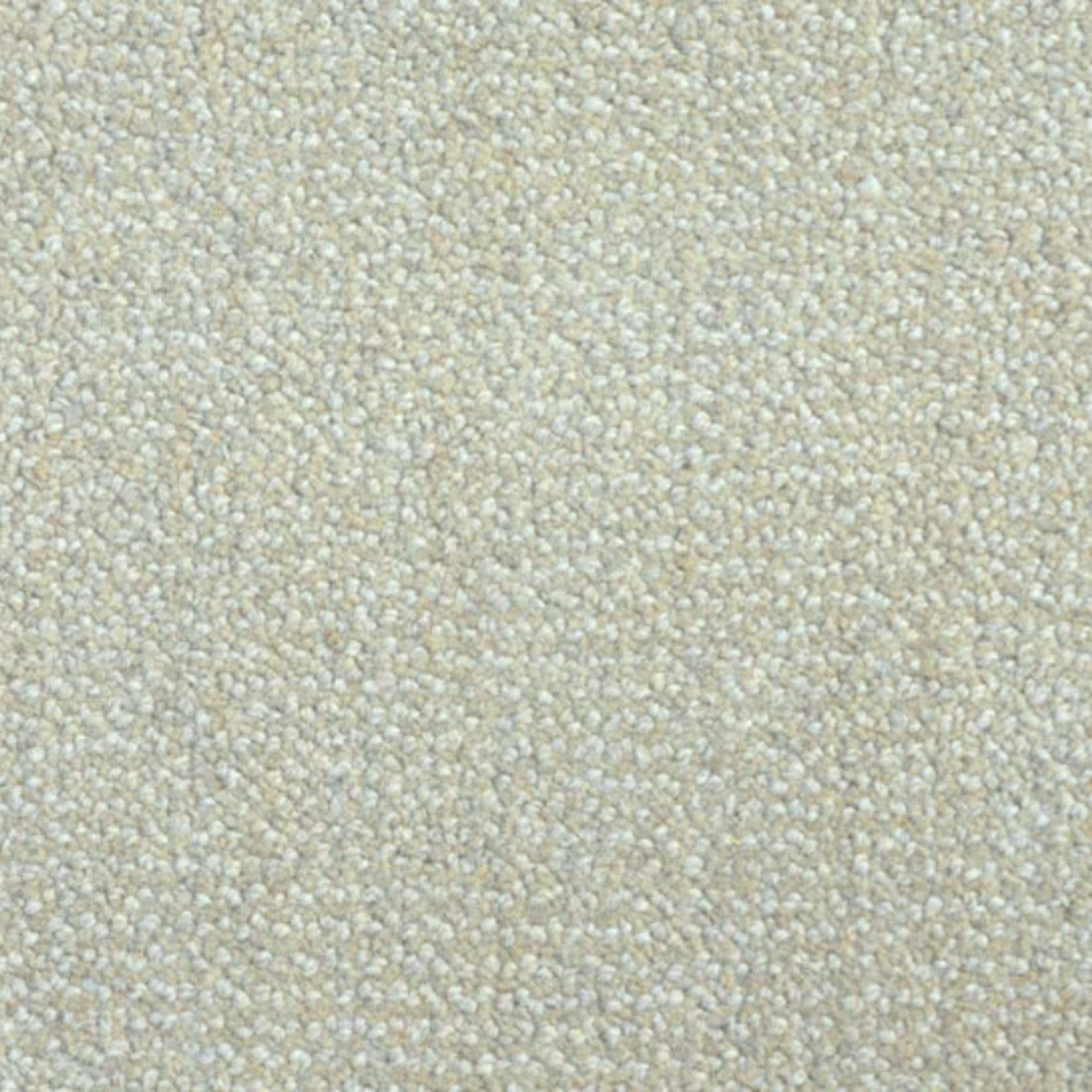 Nobility (cav) in Flax Carpet