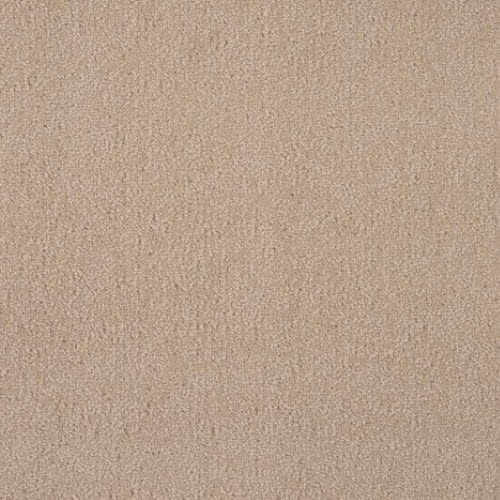 Majesty 2 in Brush Carpet