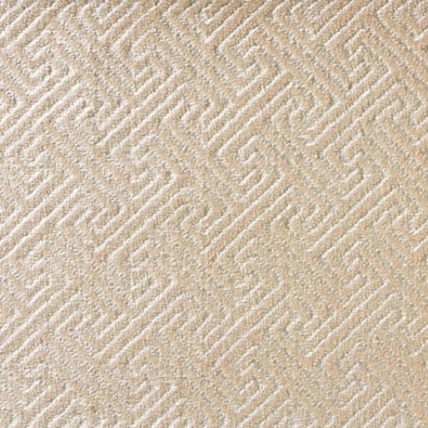 Starlight Reflection