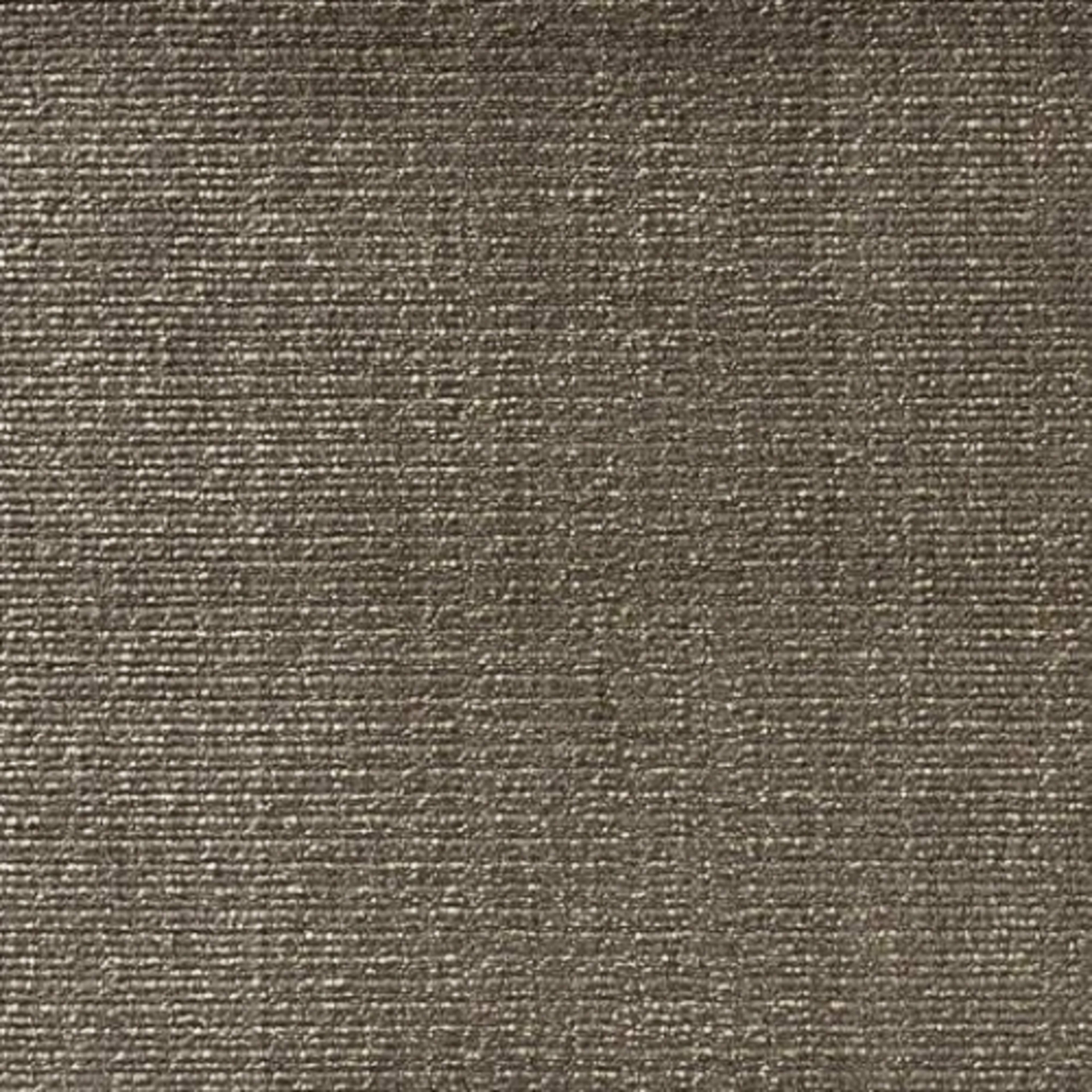Twilight Velvet in Truffle Carpet