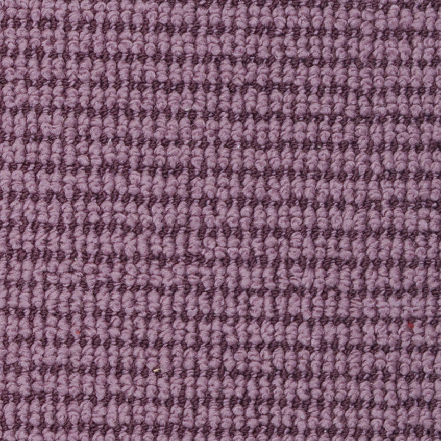 Natures Field 2961 in 96111 Velvet Plum  Carpet Flooring | Dixie Home
