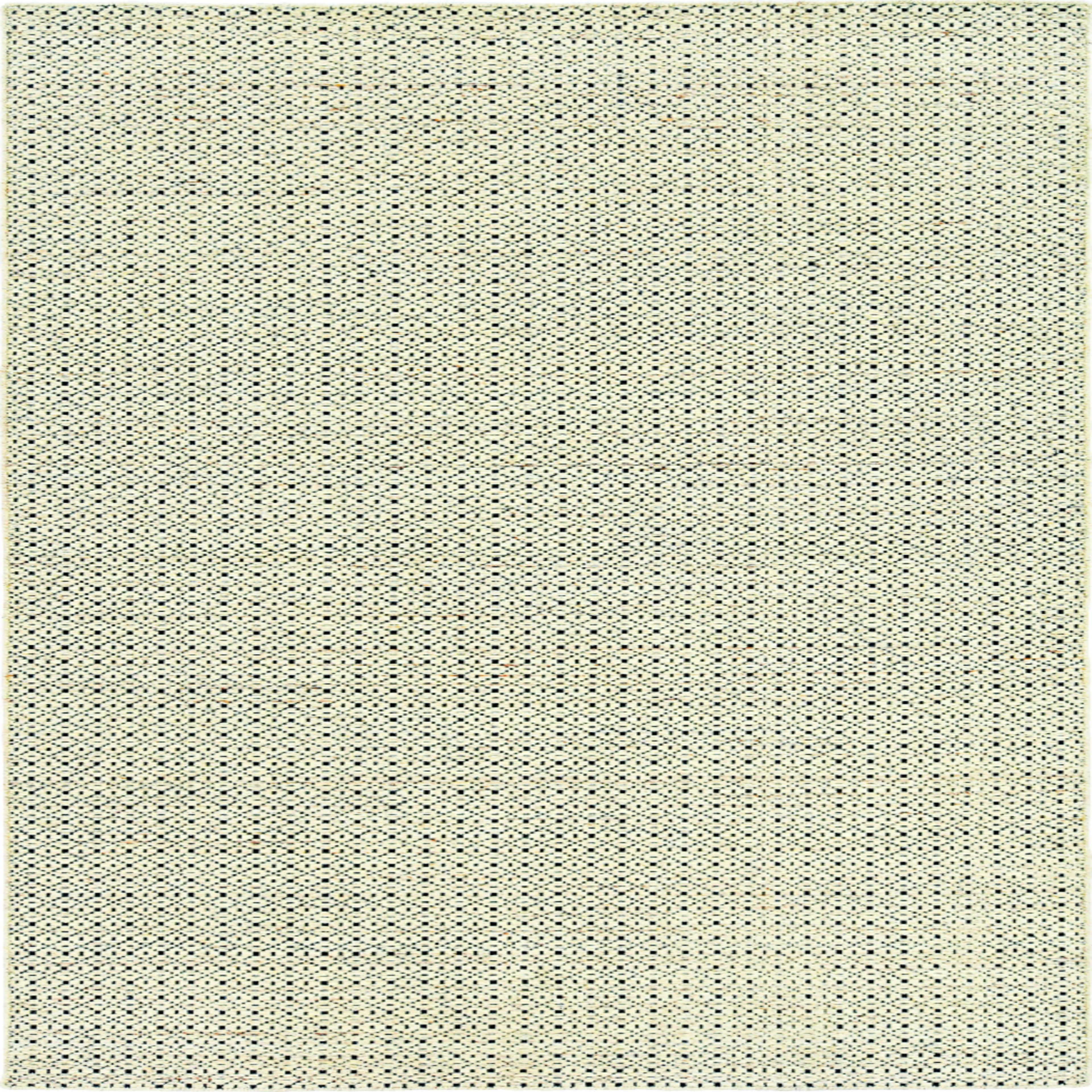 Nicola - 320 - Beige Black in Beige Black Area Rugs