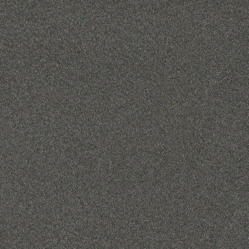 BLAZER I in Nitro Carpet