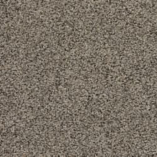 Roll With It in Nougat Carpet