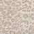 Savanna Leopard